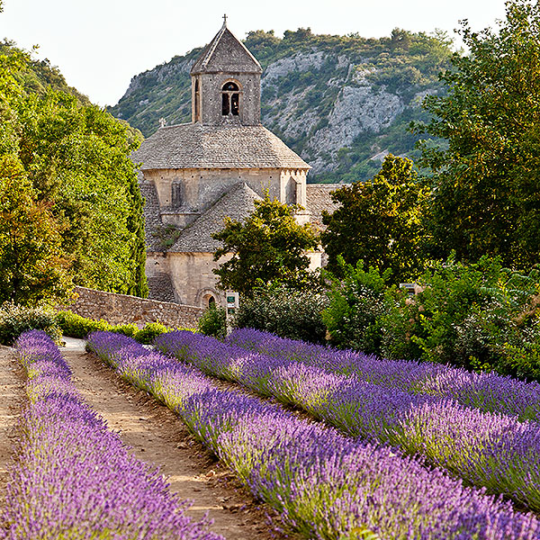 Senanque Abbey