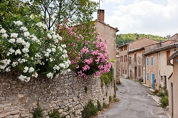 Flowery street