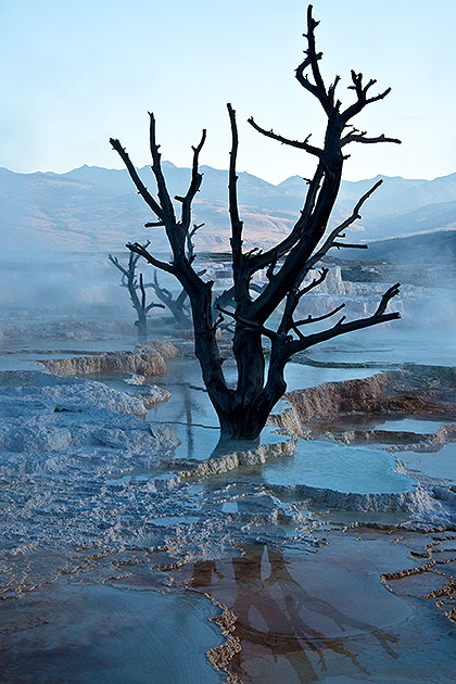 Geothermal scene