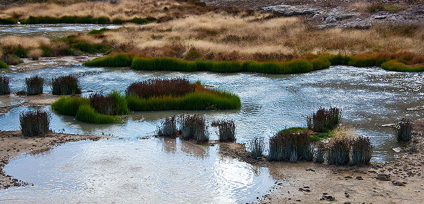 Mud flats