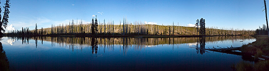 River and reflections of trees