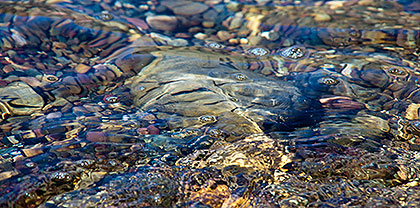 Water over pebbles