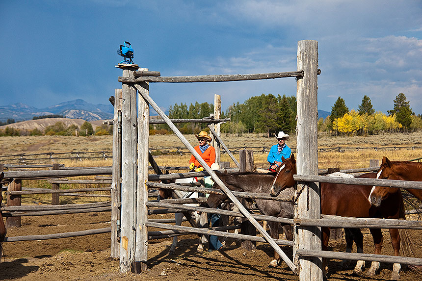 Ranch hands and horses