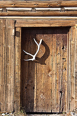 Door with antler handle